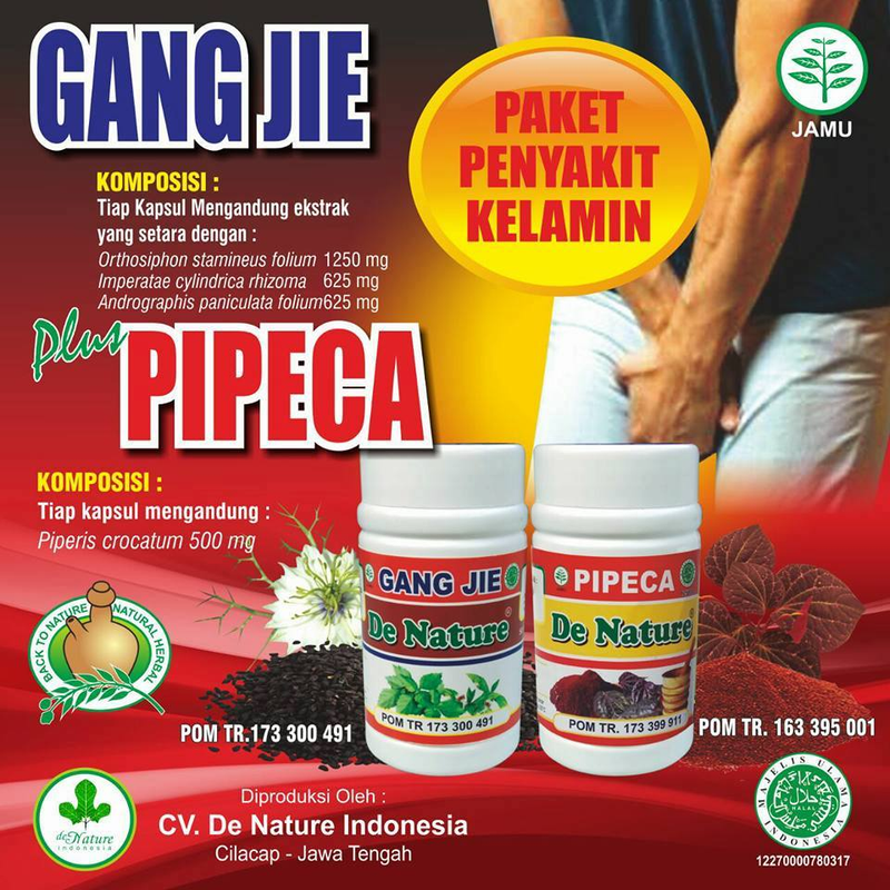 Illustration for article titled obat alami untuk menyembuhkan herpes genitalis